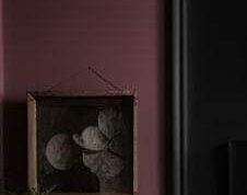 4e44923b6656ec51a1f6ff42067aac45